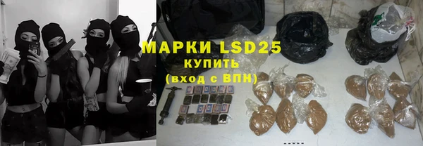 прущие грибы Каменка