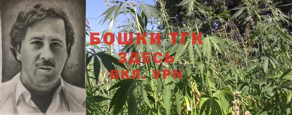 дурь Лагань