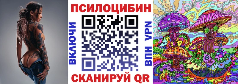 где купить наркотик  Ржев  Галлюциногенные грибы Psilocybine cubensis 